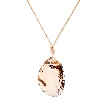 Pendentif en coquillage fossilisé