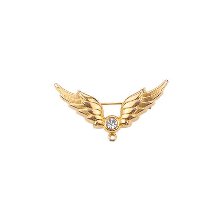 Broche Ailes d'Ange Éclatante